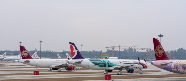 Quels sont les meilleurs spots pour observer les éléphants en Afrique du Sud?